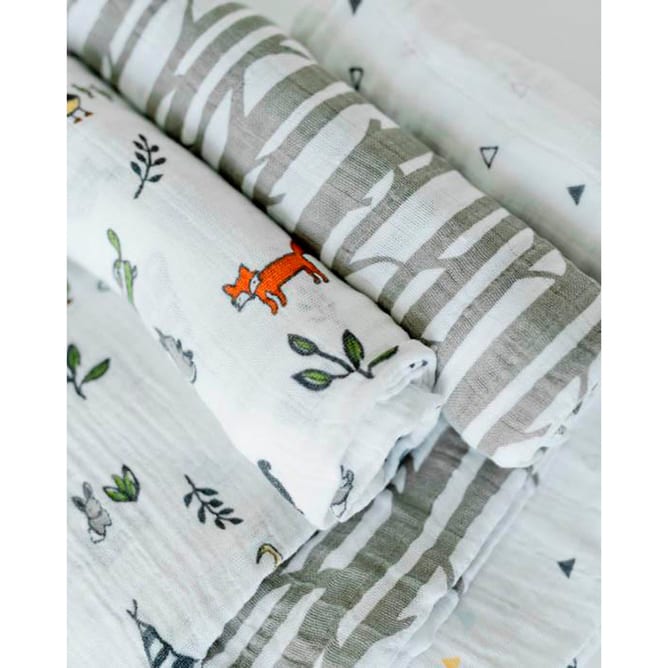 1u250w851-large-3