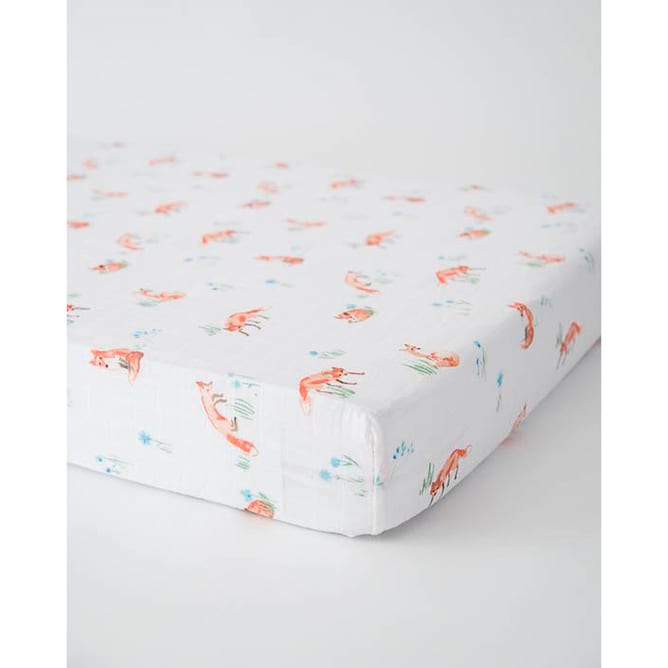 1u260w809-large-1