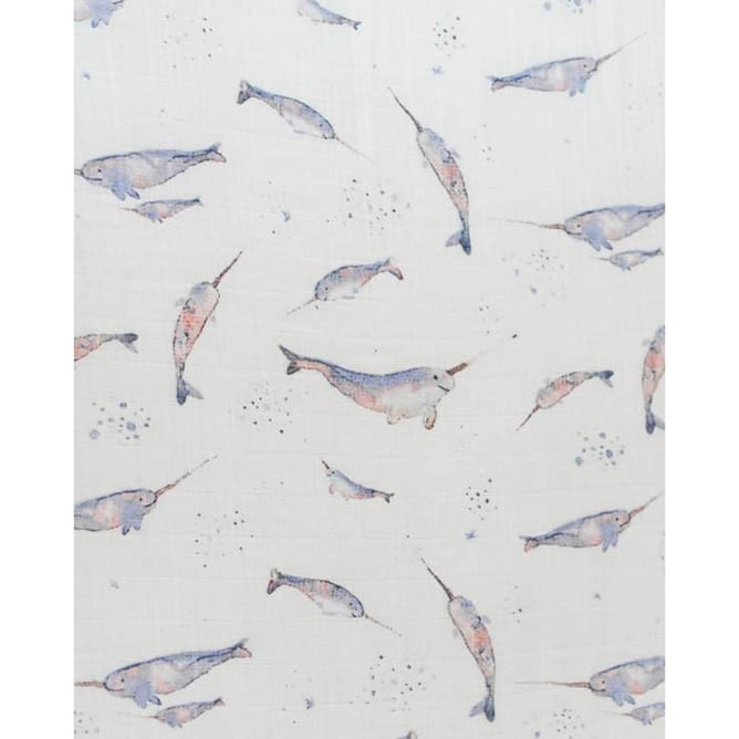 1u260w816-large-1