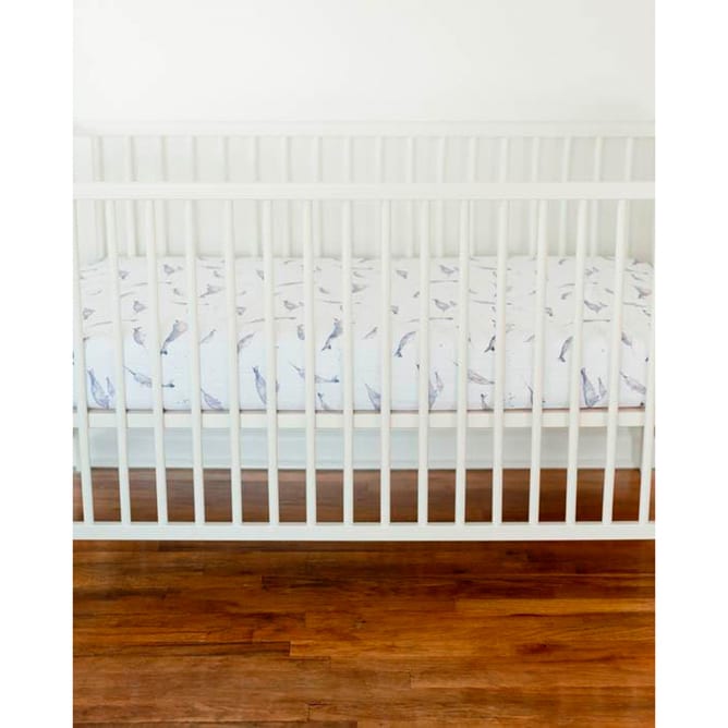 1u260w816-large-4