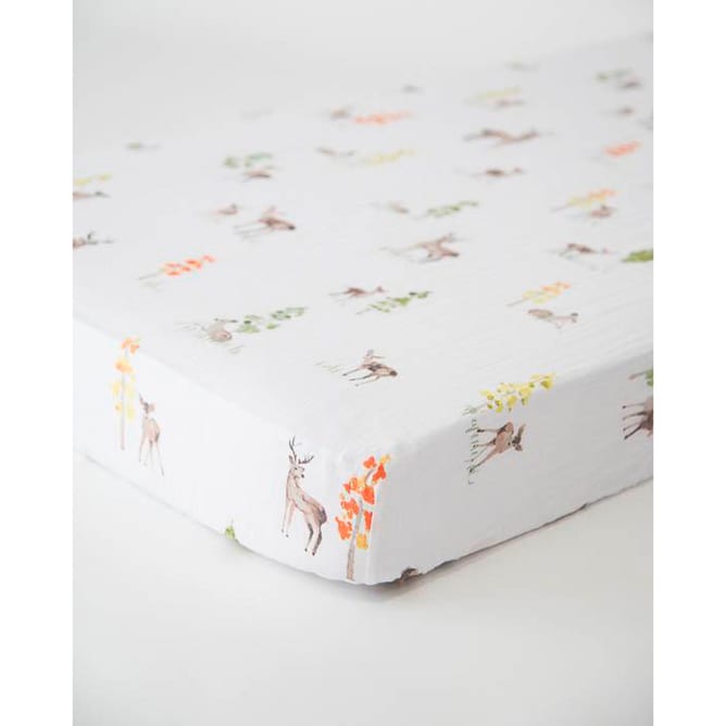 1u260w817-large-1