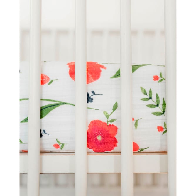 1u260w822-large-2
