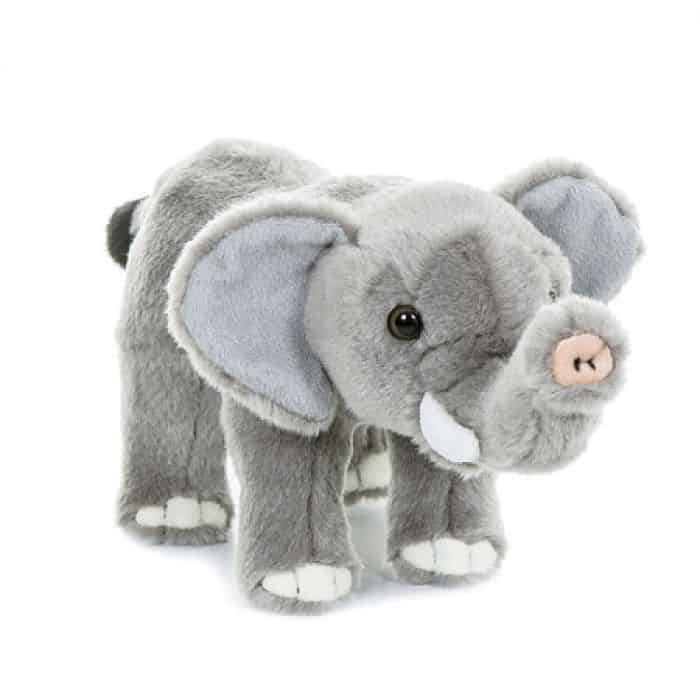 T2465-teddy-wild-elephant