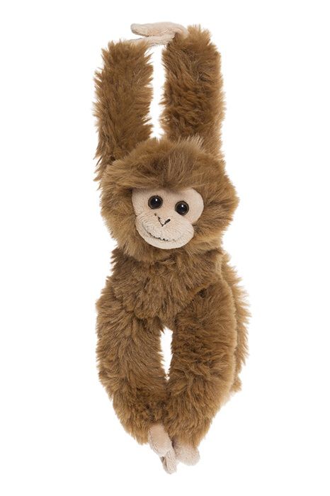 T2595-monkey-sm