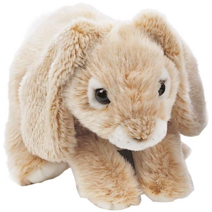 T7125-forest-rabbit