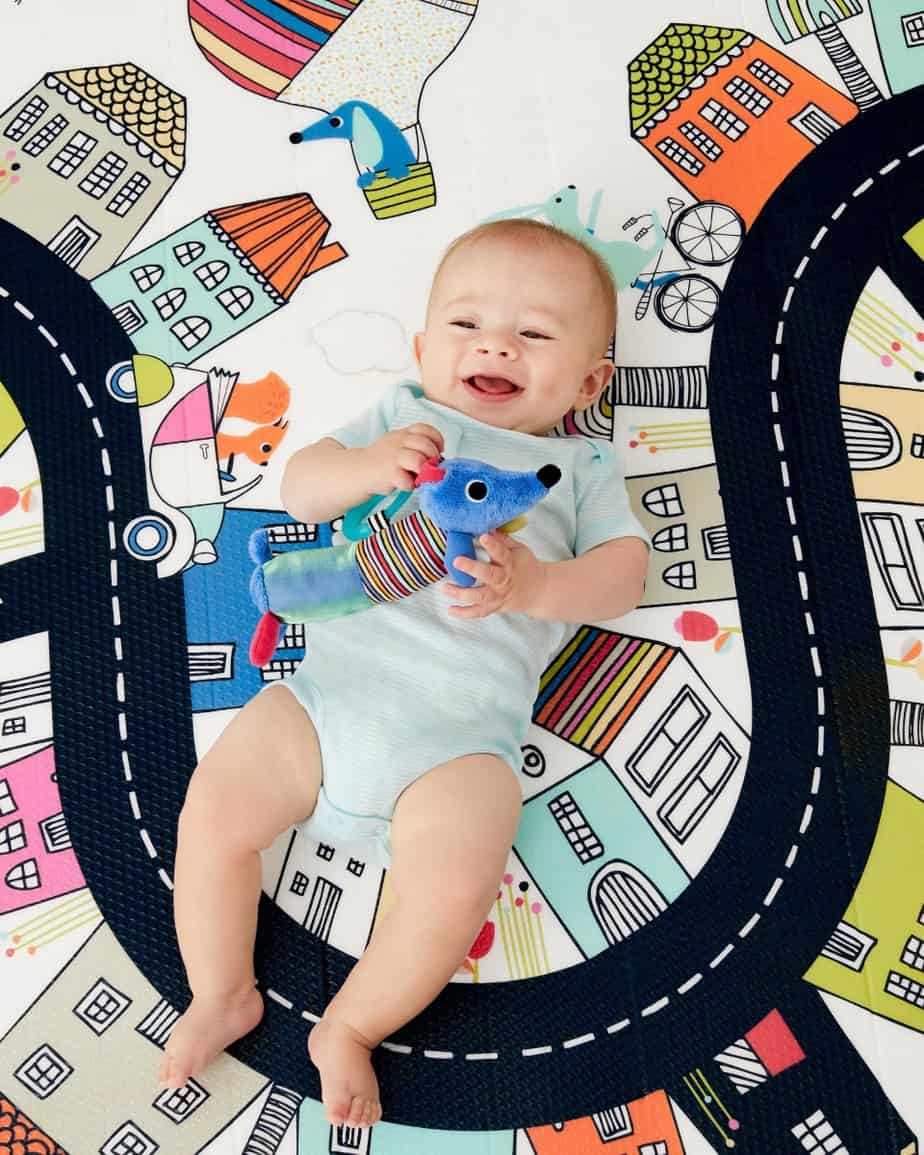 Skip Hop Doubleplay Reversible Playmat Vibrant Village-11877