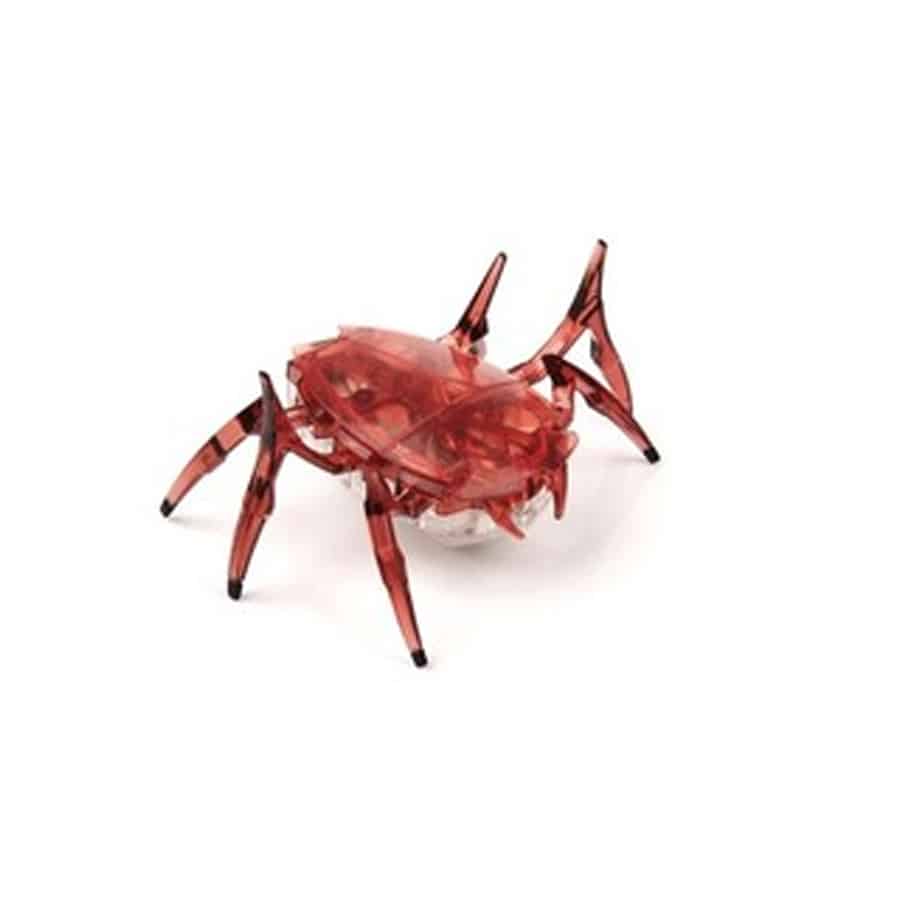 Hexbug-scarab-in-cdu