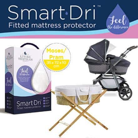 Moses-smartdri-large-c07c3713-bb2d-4d49-b604-0d832efcea60-grande