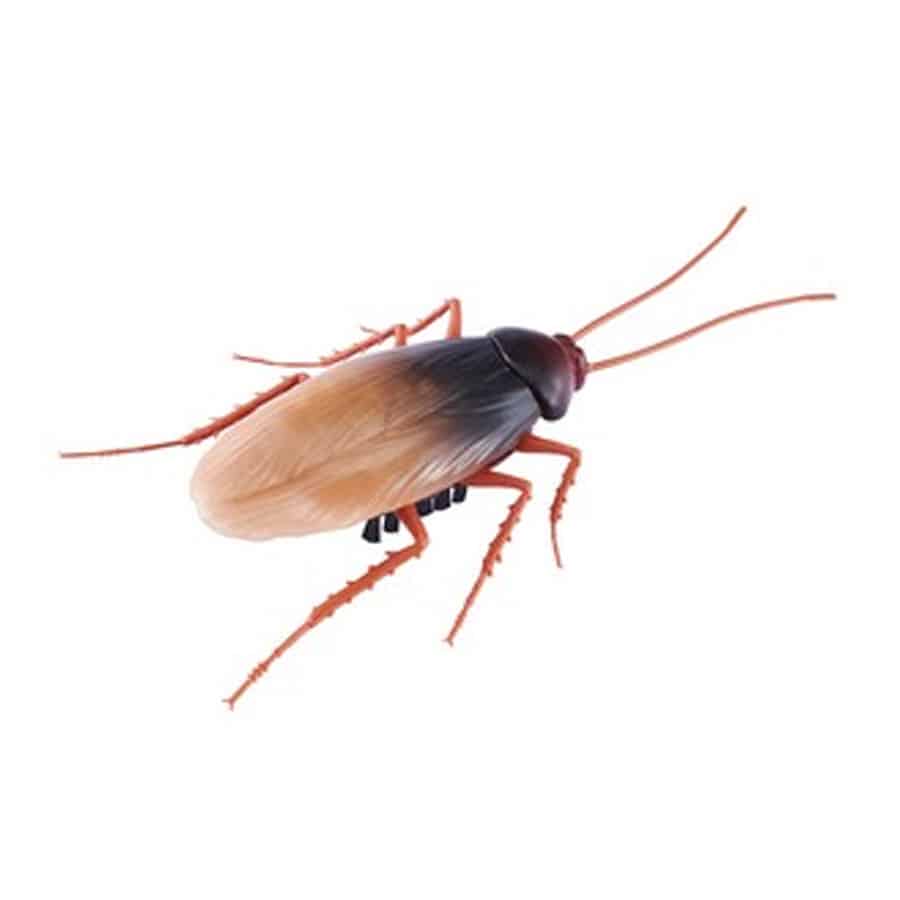 Robo-alive-cockroach