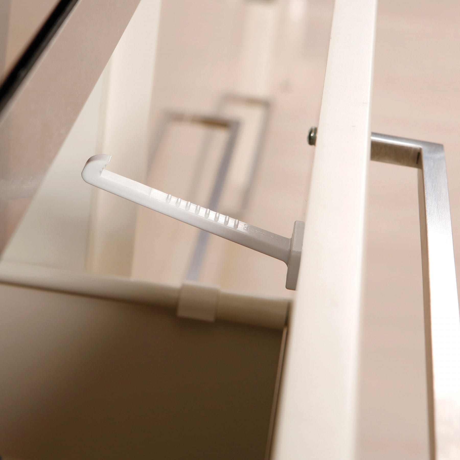 L101-in-situ-2-1-