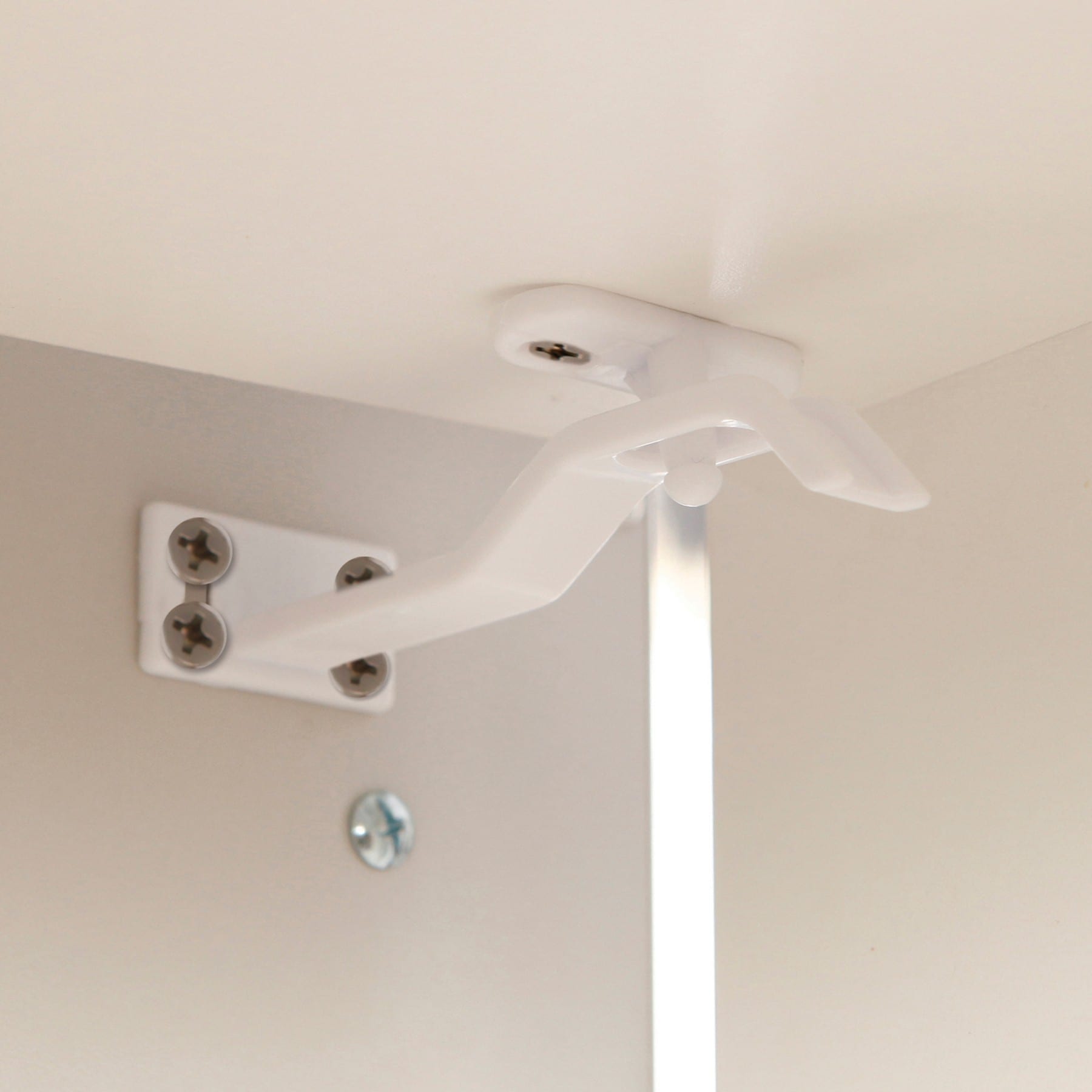 L109-in-situ-4-1-1-